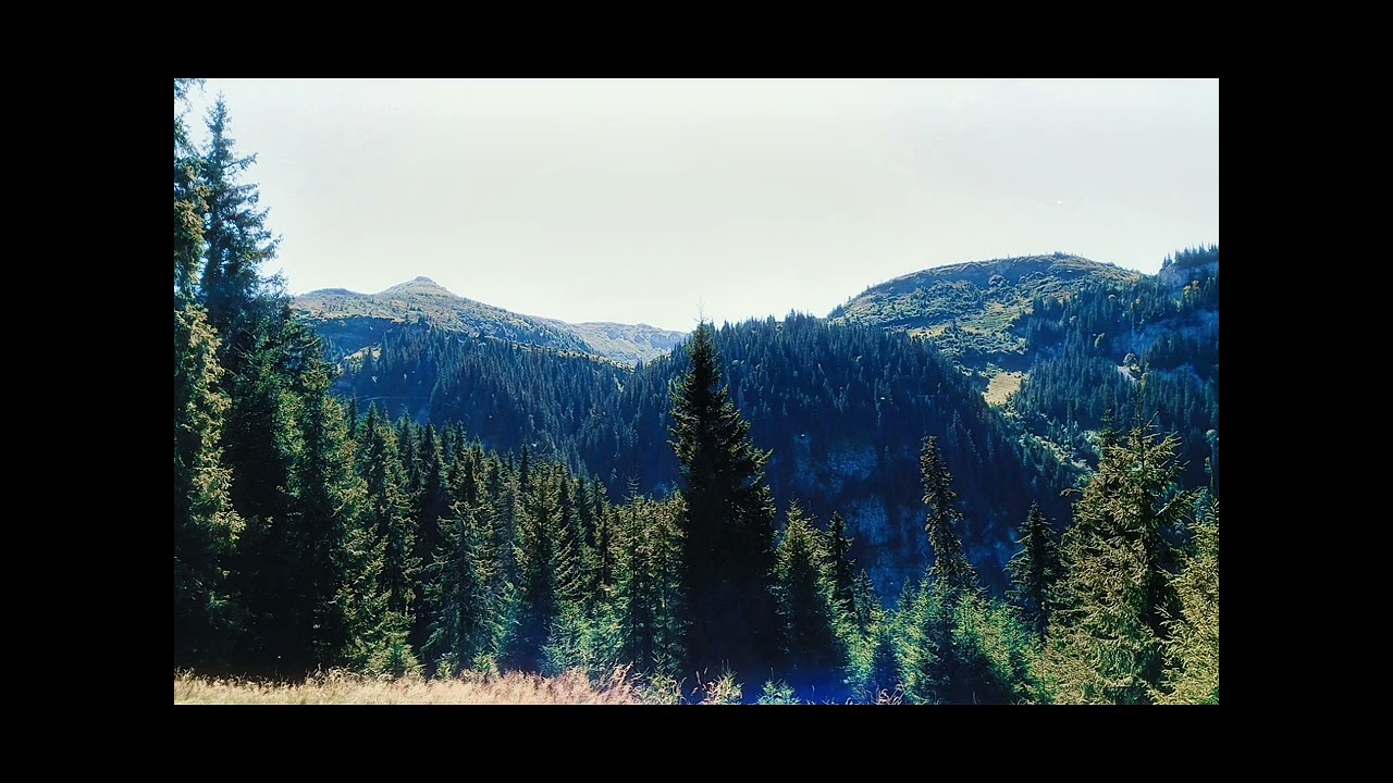 At ³ AM