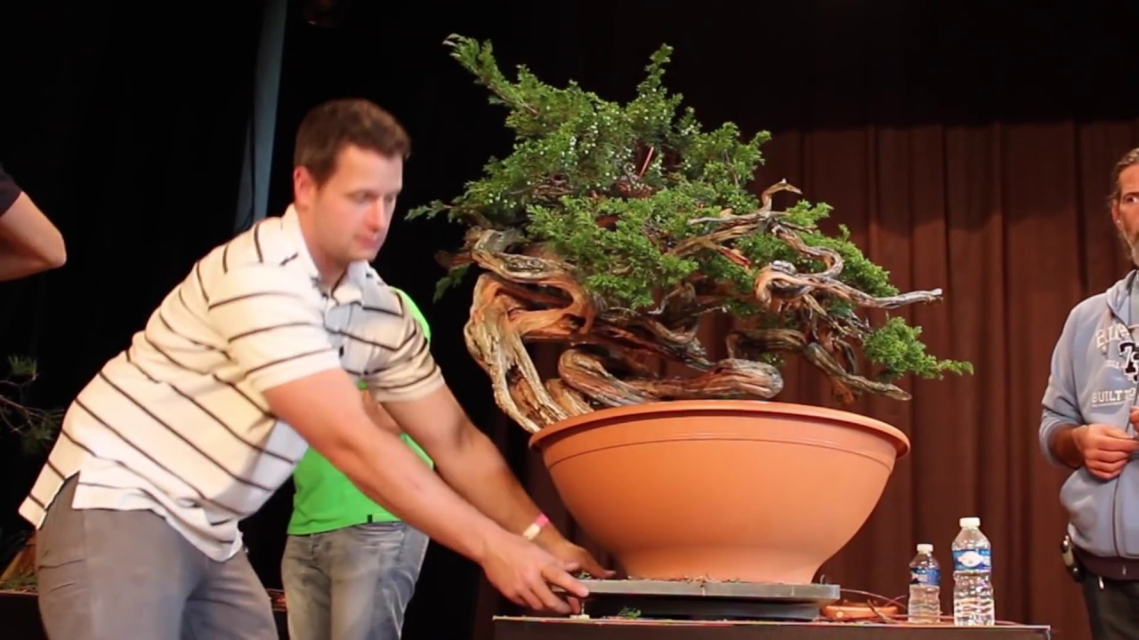 Ryan Neil's second demo at Bonsai-San