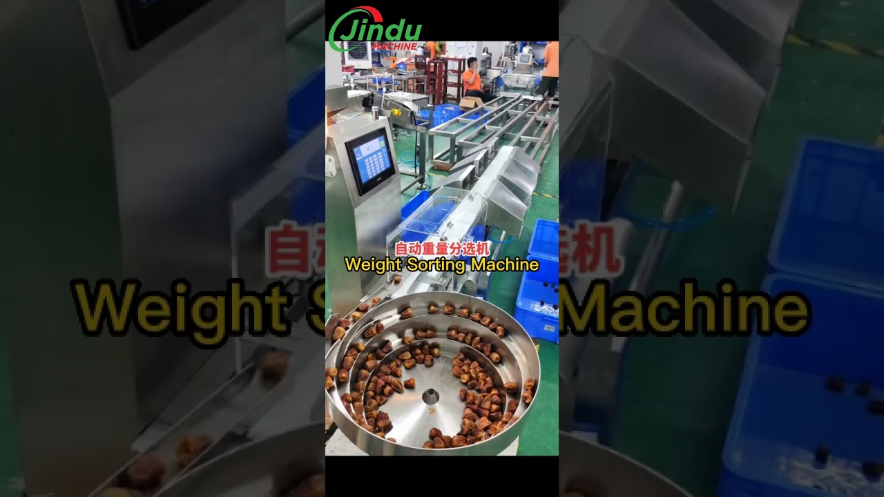 weight sorting machine for dried dates fruit #machine #equipment #dates #driedfruits #weighing