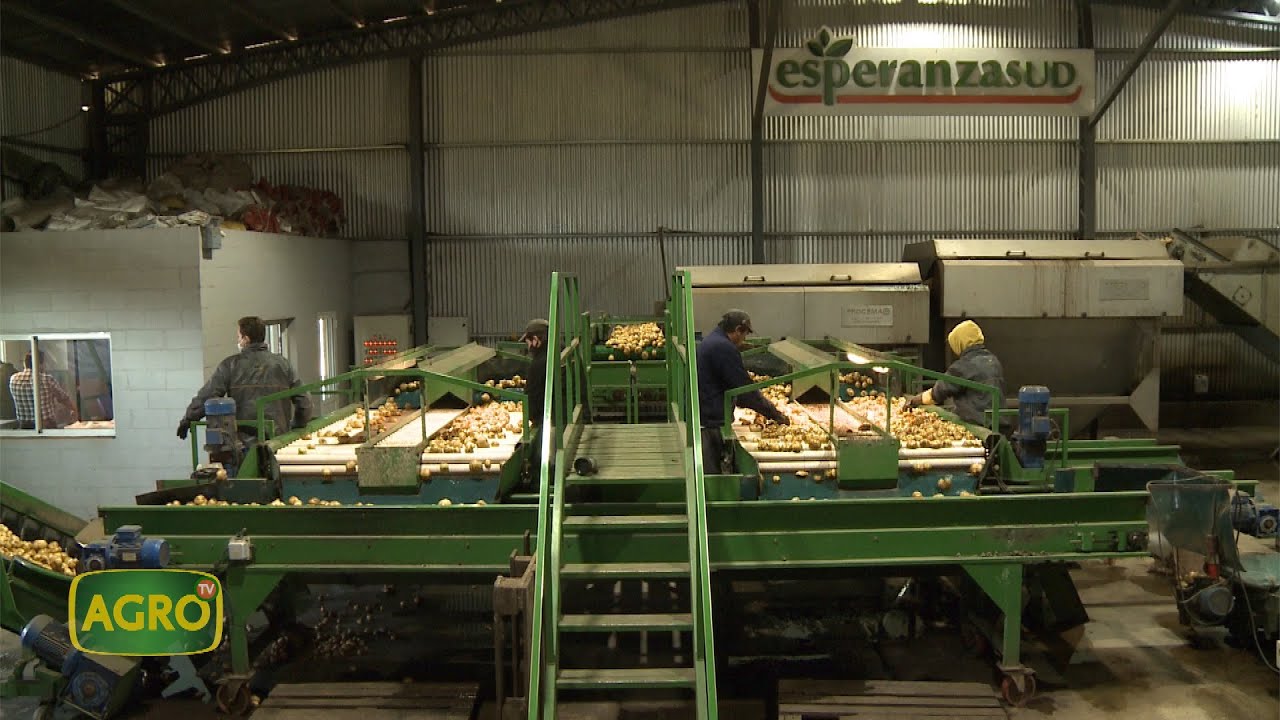 Esperanza Sud: Nueva generación de productores de papa Hi-Tech (#949 2021-10-16)