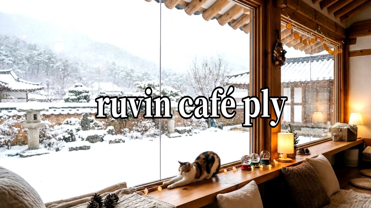 ☕cafe playlist "하루종일 틀어두기 좋은 감성 카페음악 | 시티팝  | 감성 pop | cafe bgm 🎶✨
