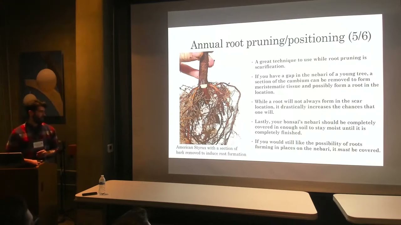 George Nall - Nebari Development in Deciduous Bonsai