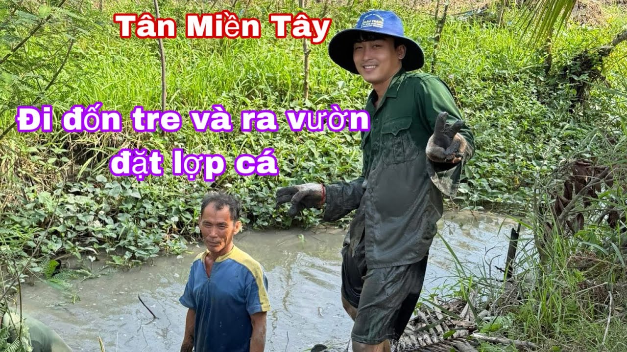 Đi đốn tre và ra vườn đặt lợp cá | Vlog 8
