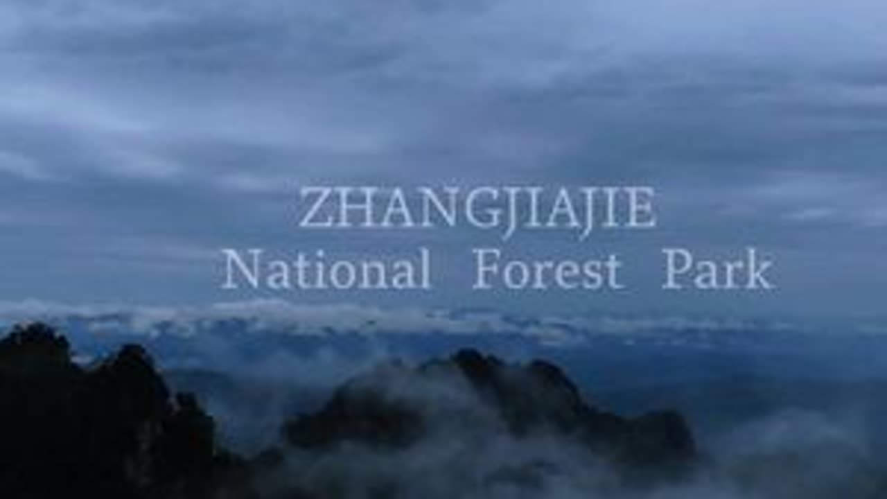 张家界国家森林公园x五星轻奢民宿| 限时合作优惠，实现一次住进山水画的体验#张家界 #张家界旅游 #轻奢民宿