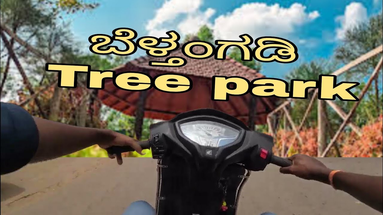 ಸಾಲುಮರದ ತಿಮ್ಮಕ್ಕ ಟ್ರೀ ಪಾರ್ಕ್/Tree Park Belthangady