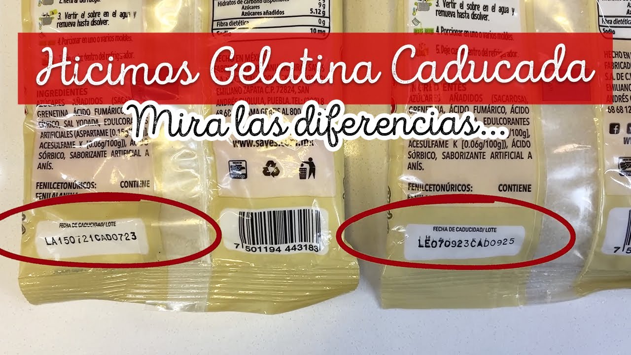 Hicimos prueba con GELATINA CADUCADA 😱 Mira las diferencias | El Baúl de Jave