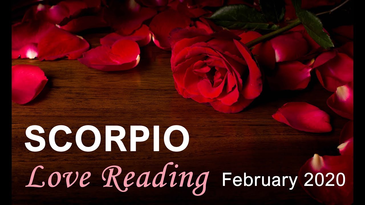 SCORPIO LOVE READING - FEBRUARY 2020  