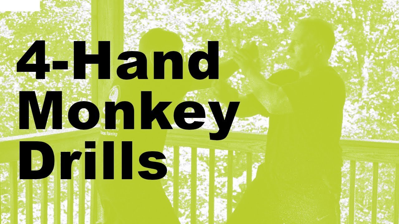 Wing Chun 4-Hand Monkey Drills