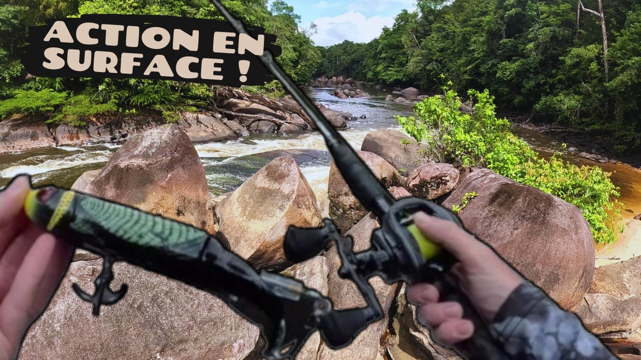 Ce gros WHOPPER PLOPPER attire tout les POISSONS ! Pêche en Guyane la suite !