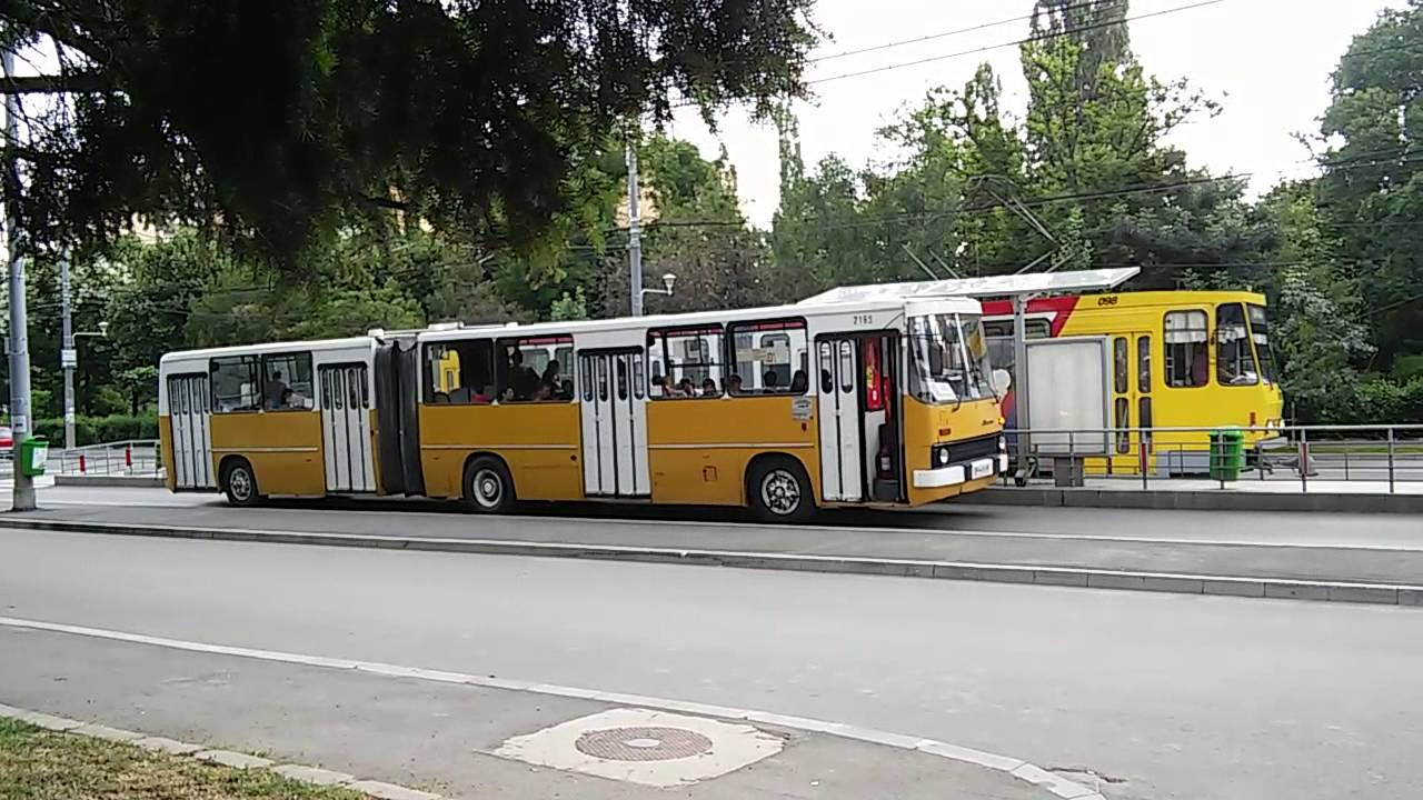 Ploiești Autobuze Ikarus 260/280, 13.06.2016