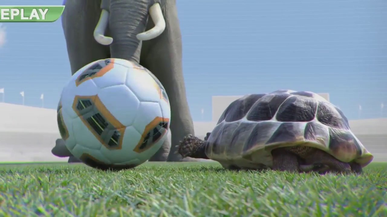 Athletic ~ Animals Funny Football goalkeeper