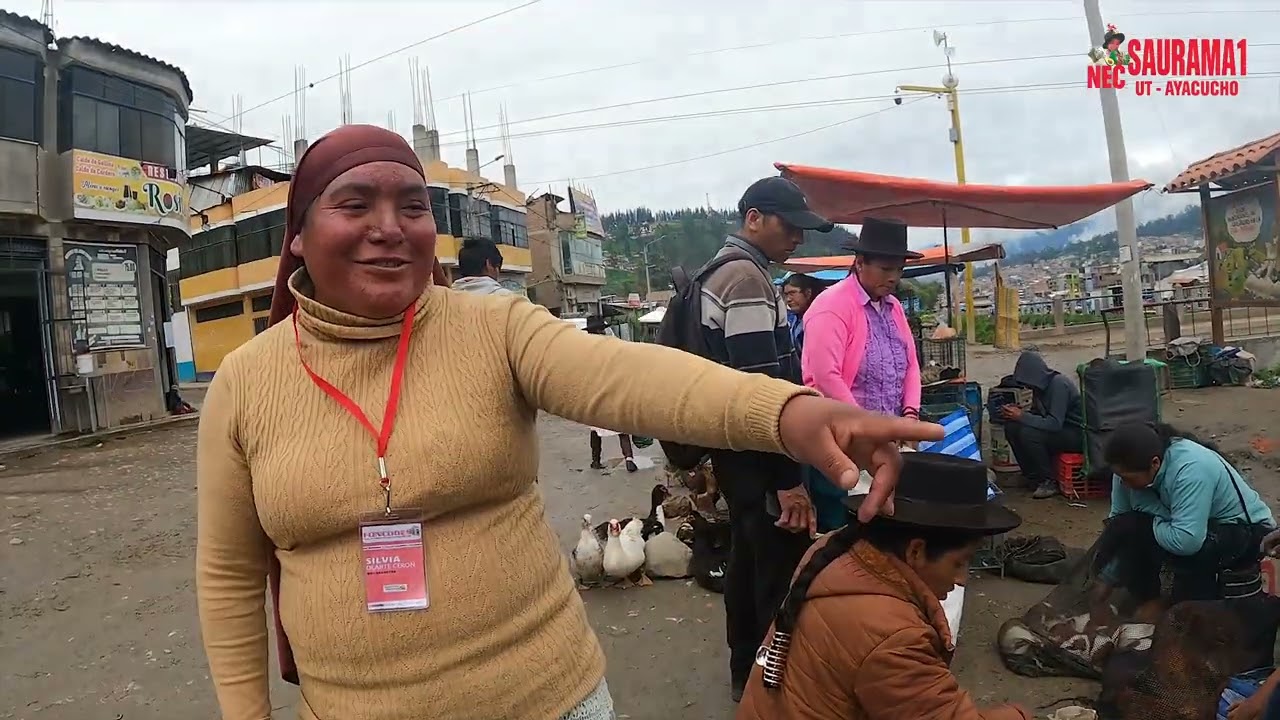 PASANTÍA PARA CONOCER  MERCADOS - FONCODES NEC SAURAMA1- UT AYACUCHO.