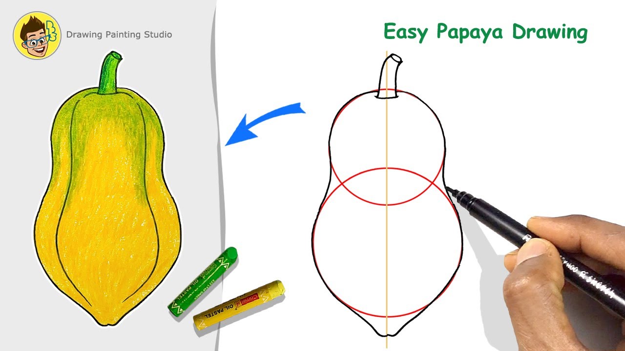 How to Draw Papaya step by step for Beginners | Very easy way Papaya fruit Drawing
