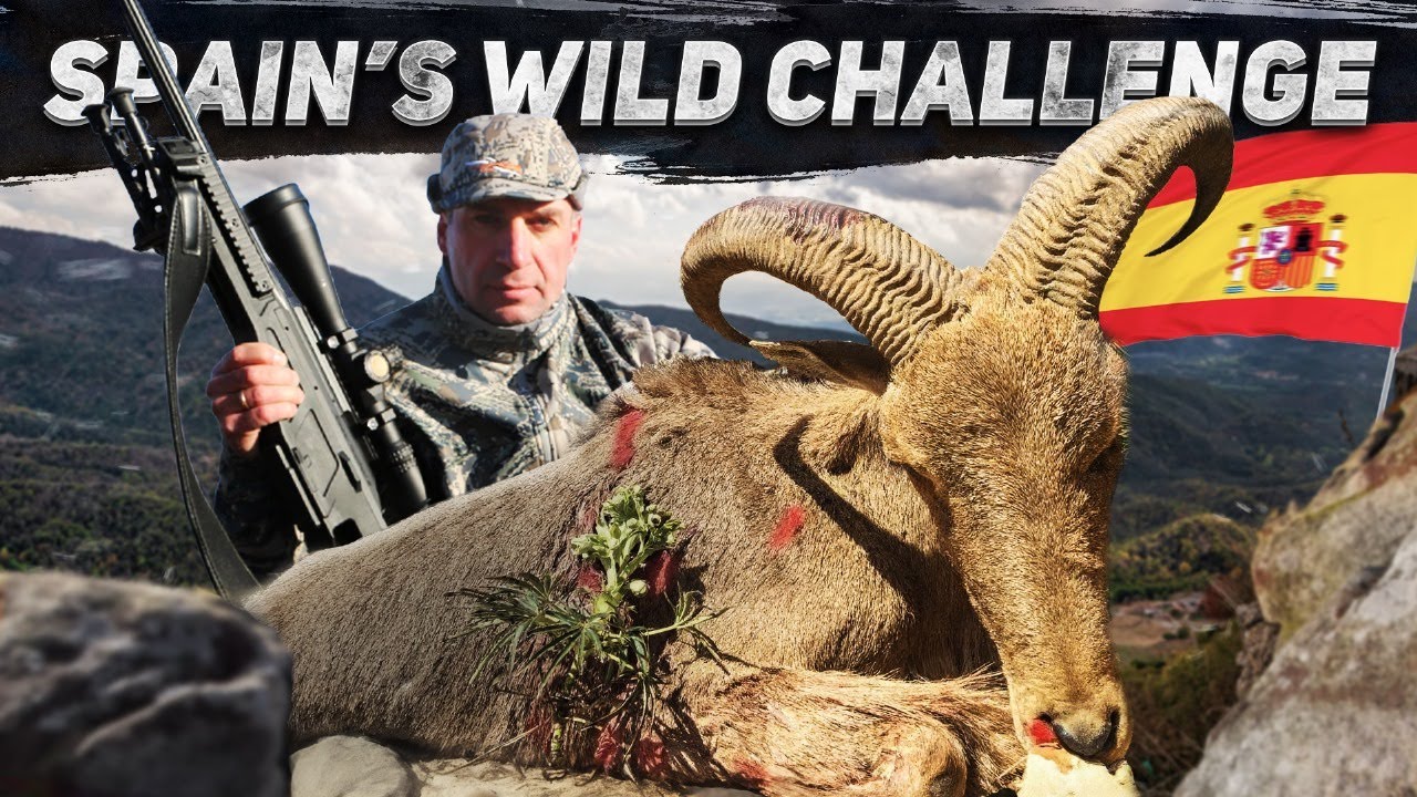 The Ultimate Mountain Hunt in Spain! 5 Epic Trophies in 7 Days #trophyhunting