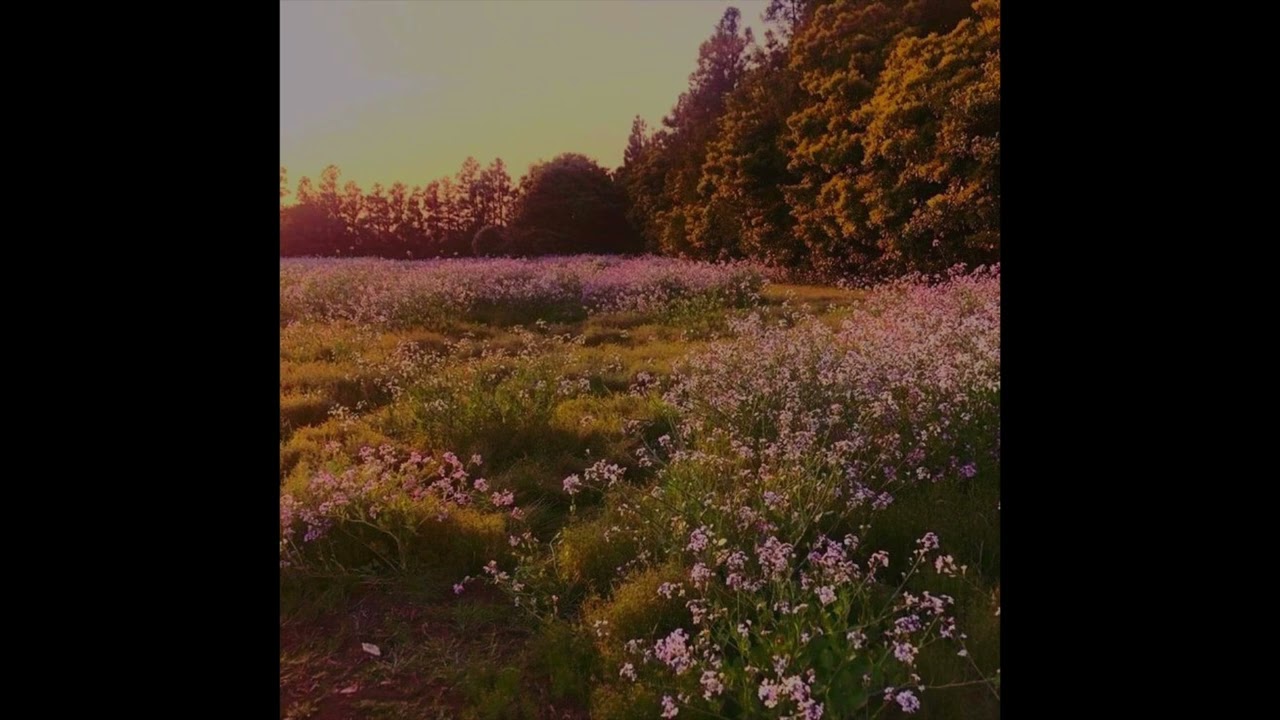 [FREE] Frank Ocean X Piano Ballad Type Beat - 