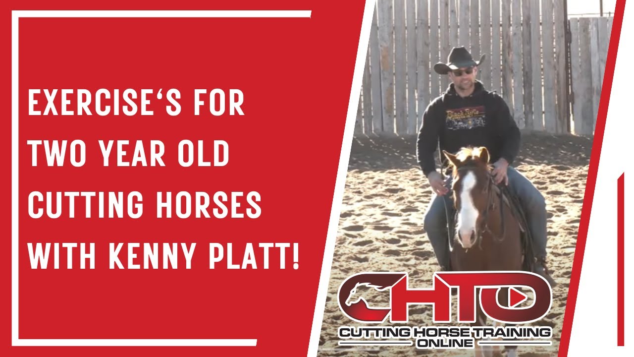 Упражнения для двухлетних детей. Обучаем лошадей с Кенни Платтом!
