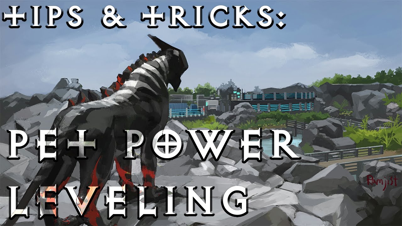 Troubleshooter: Abandoned Children | Tips & Tricks: Pet Power Leveling