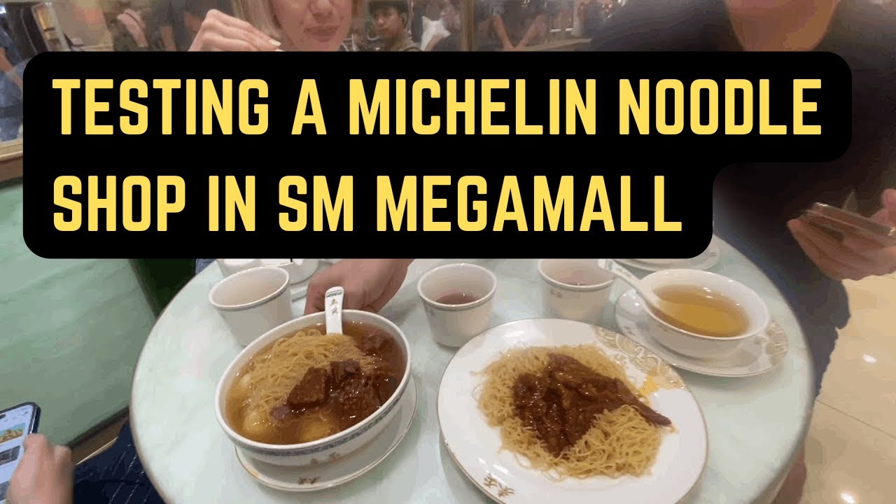 Is This MICHELIN gourmand bib Noodle Worth the trip? | Mak's Noodle Hong Kong SM Megamall Review