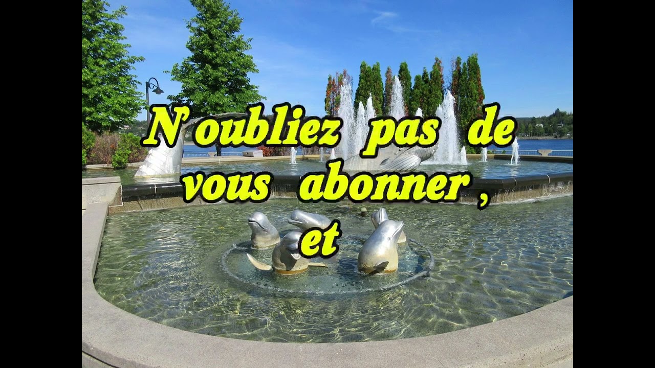  Chicoutimi des lieux incontournables à visiter Absolument!!🥰🐿️🌳🌿