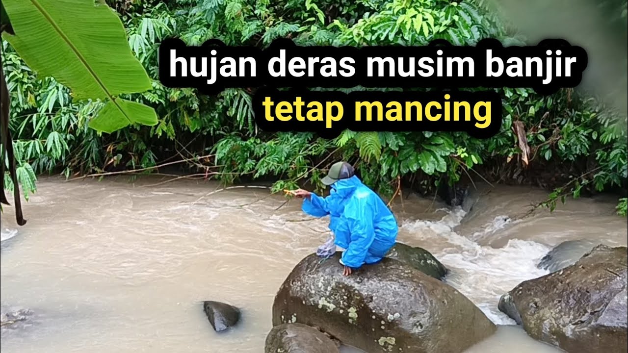 mancing saat hujan deras || mancing ikan wader || microfishing || fishing bait || @ogonNgaprak