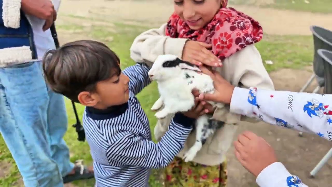 Exploring Baboon Valley Jeep Track (2025) | Family Tour Motorcycle Lahore to Azad Kashmir