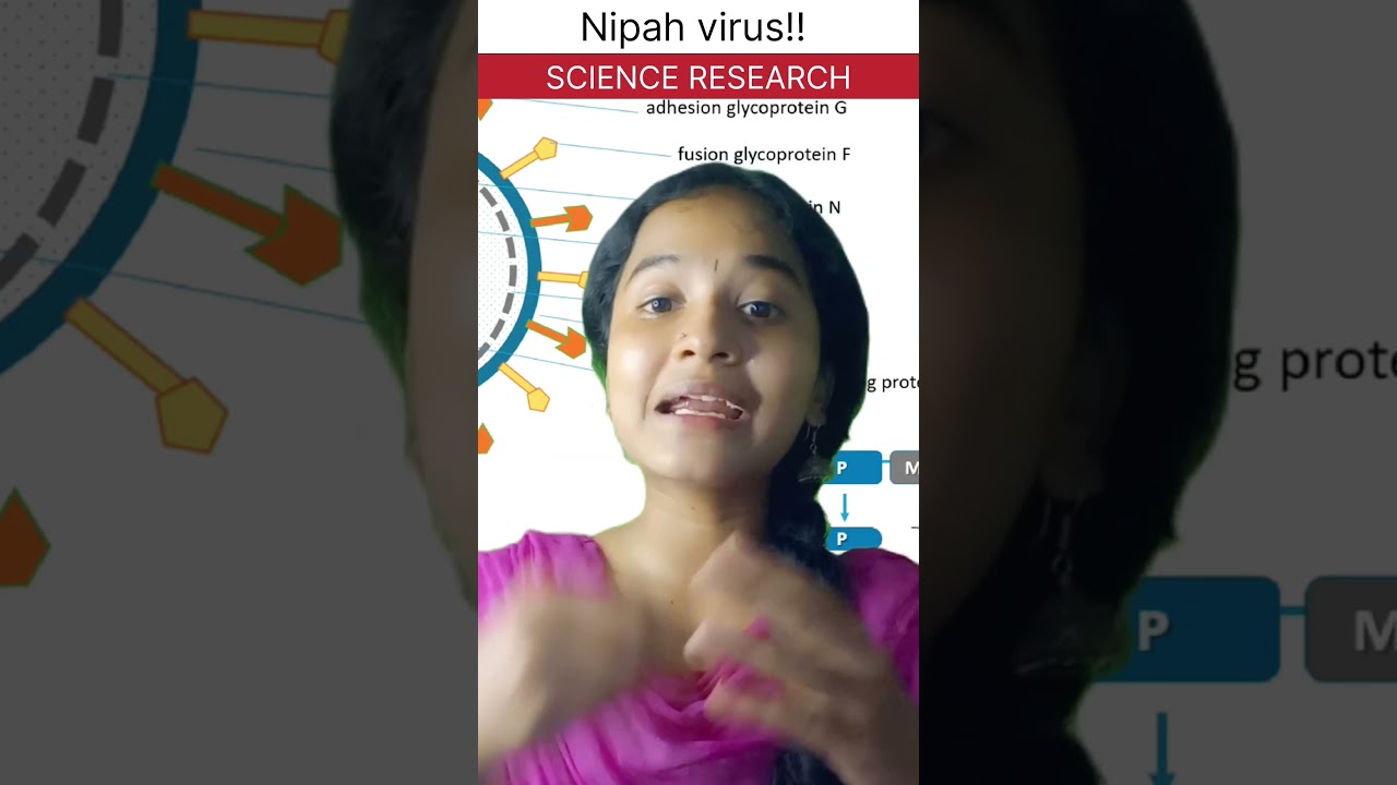 Unraveling the Nipah Virus: From Bats to Humans (Informative and engaging). 
