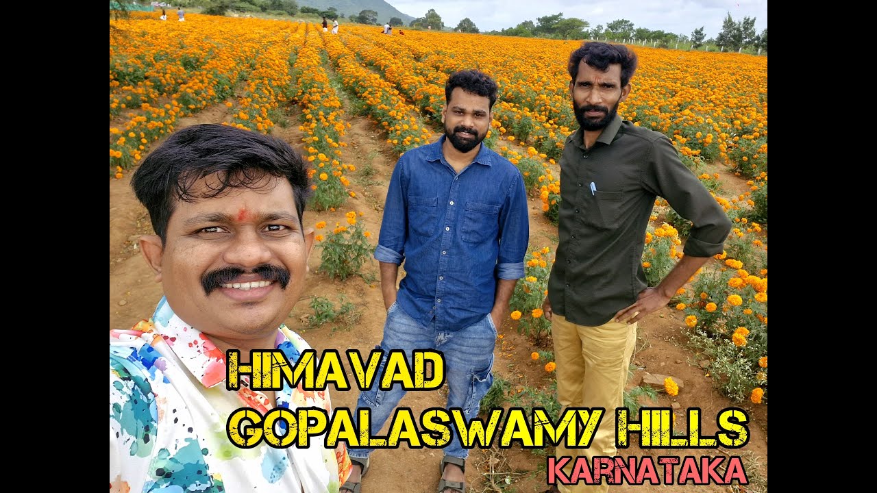 Himavad Gopalaswamy Hills 🔥  Trip || karnataka