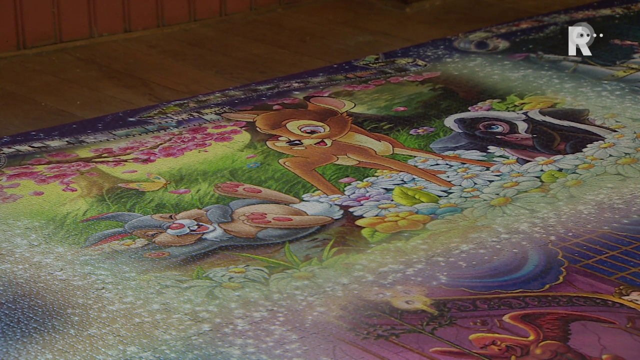 Ameidenaar maakt grootste legpuzzel ter wereld