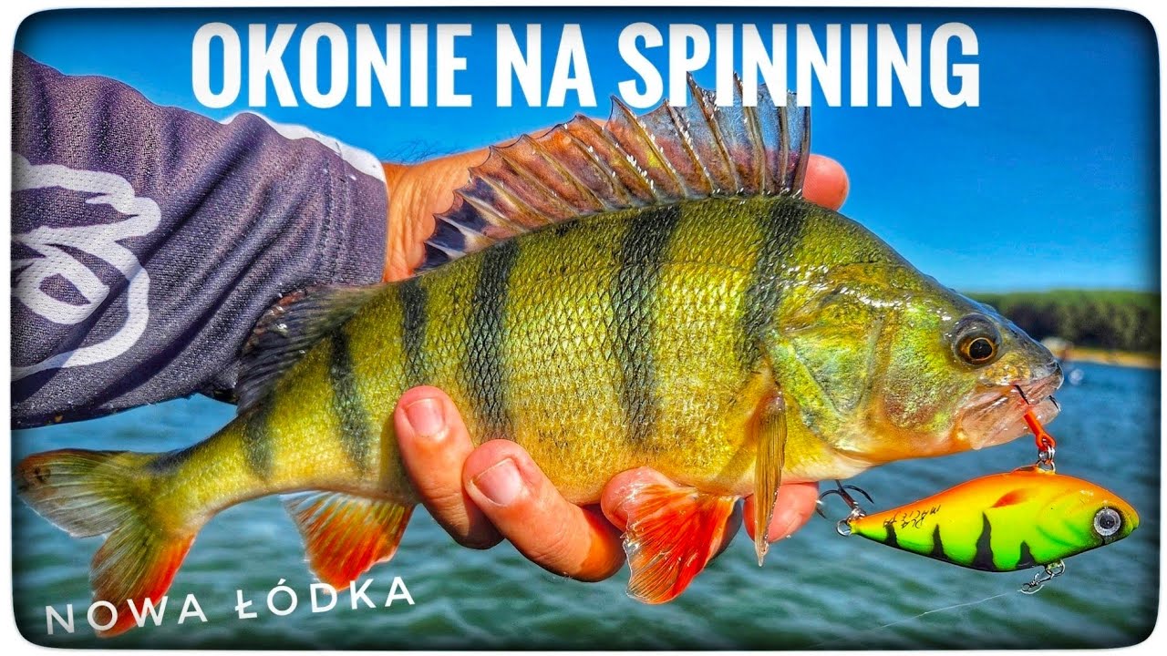 OKONIE NA SPINNING // nowa ł&oacute;dka // 2025