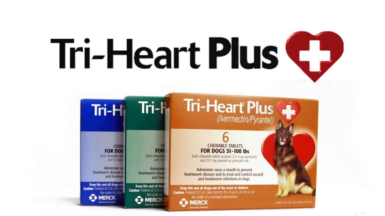 Tri-Heart Plus for Dogs Affordable Heartworm Prevention