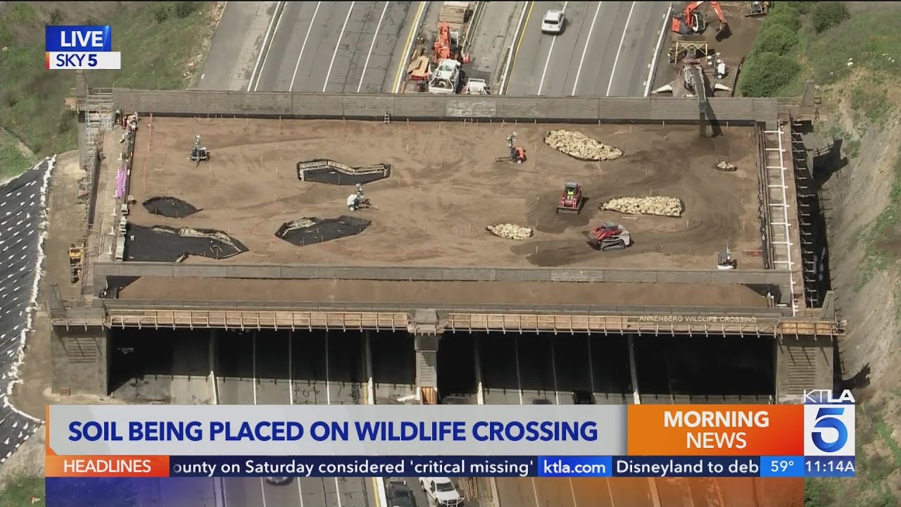Southern California wildlife crossing construction reaches major milestone 