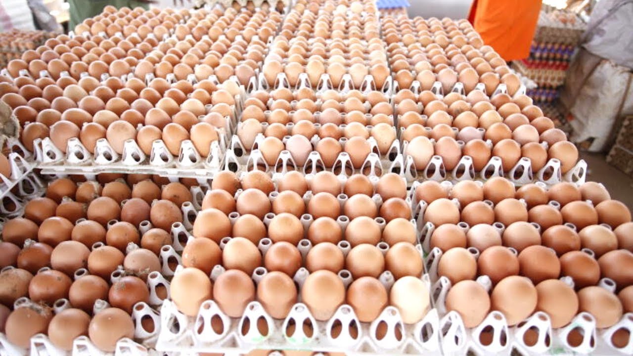 Row over eggs : Ugandan poultry farmers protest ban of egg export into Kenya