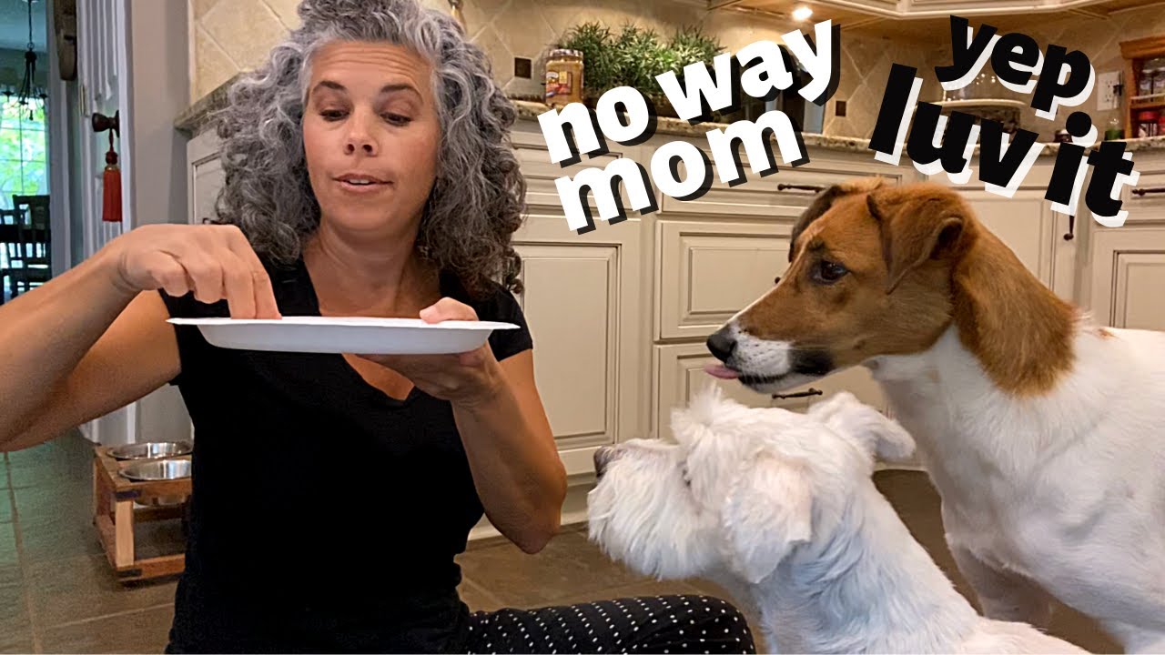MY DOGS REVIEW FOOD // SEE HOW POLLUX + MAXXIE REACT TO STRANGE NEW THINGS