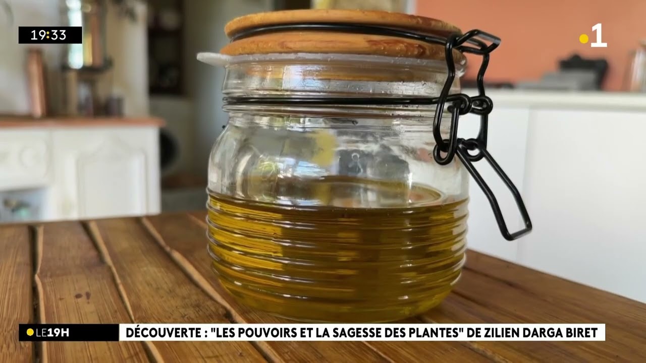 D&eacute;couverte : Les pouvoirs et la sagesse des plantes de Zilien Darga Biret