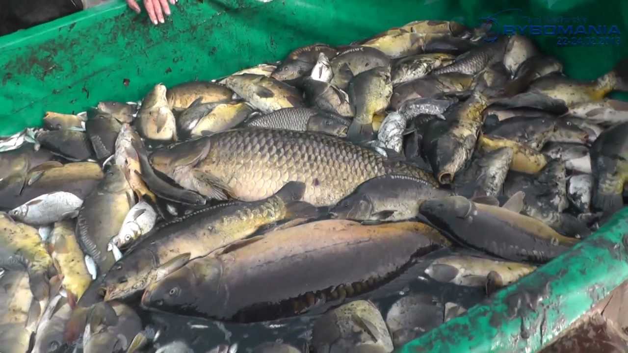 Łowisko Specjalne 