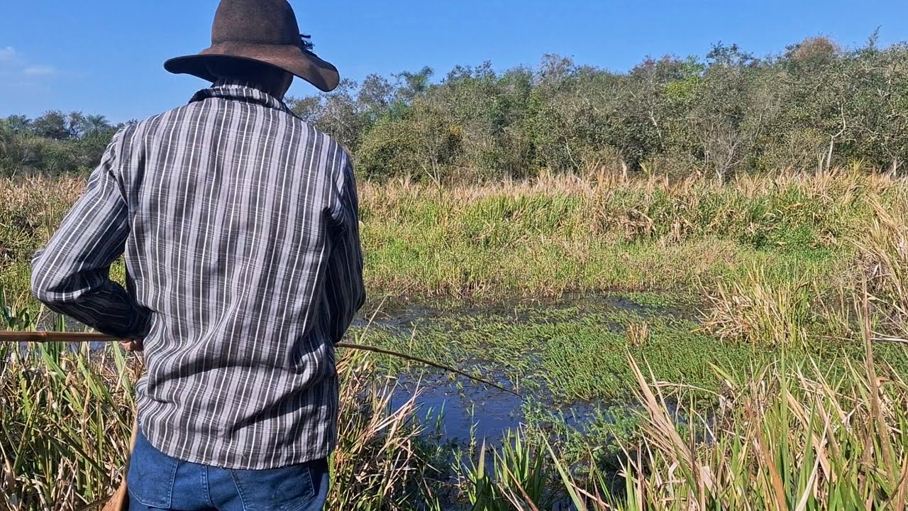 MAU CHEGAMOS E JÁ FOI PEGANDO ESSAS BRUTA , LAGOA ABANDONADA TA LOTADA DE TRAÍRA./PESCARIA RAIZ.