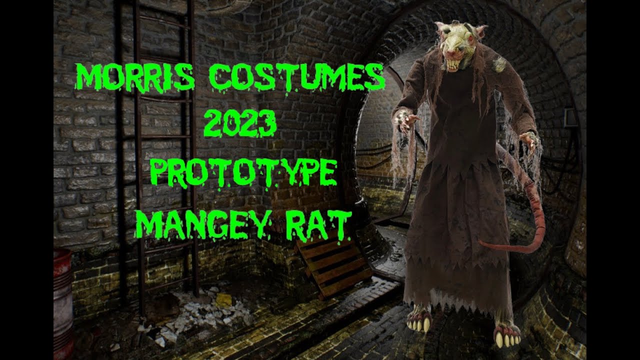 Morris costumes 2023 PROTOTYPE mangey rat