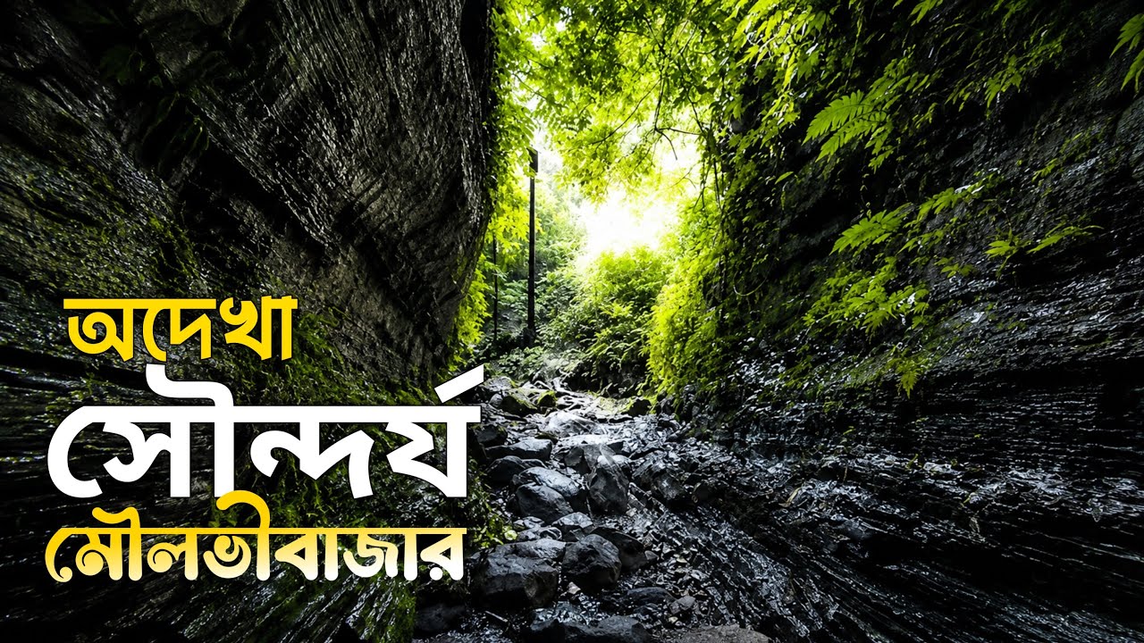 অদেখা সৌন্দর্যের খোঁজে মৌলভীবাজার | লাসুবন গিরিখাত শ্রীমঙ্গল | Travel With Naimur