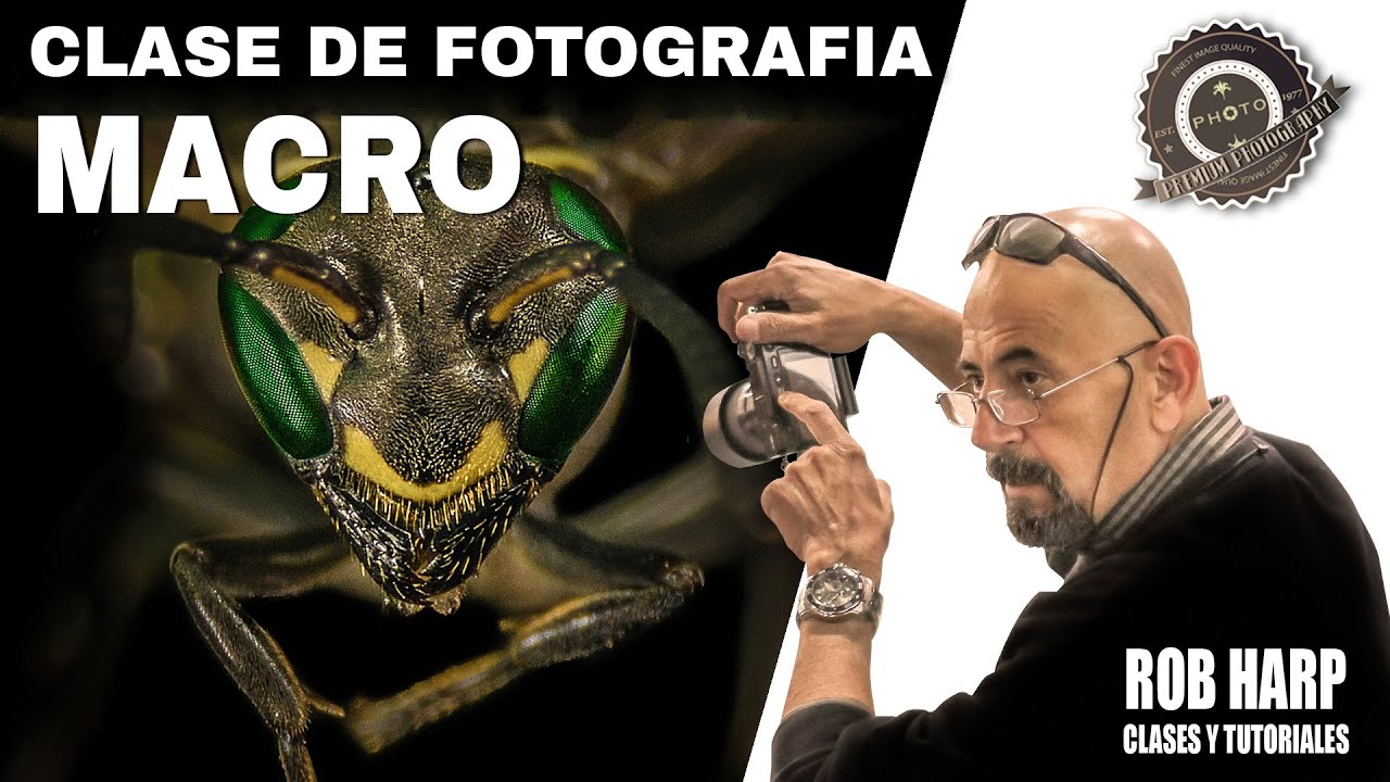 🔥Macrofotografía: Tips y Secretos para Capturar el Mundo Invisible
