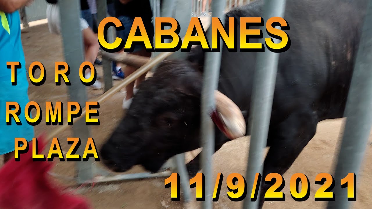 🔝 CABANES CONCURSO DE TOROS 11/9/21