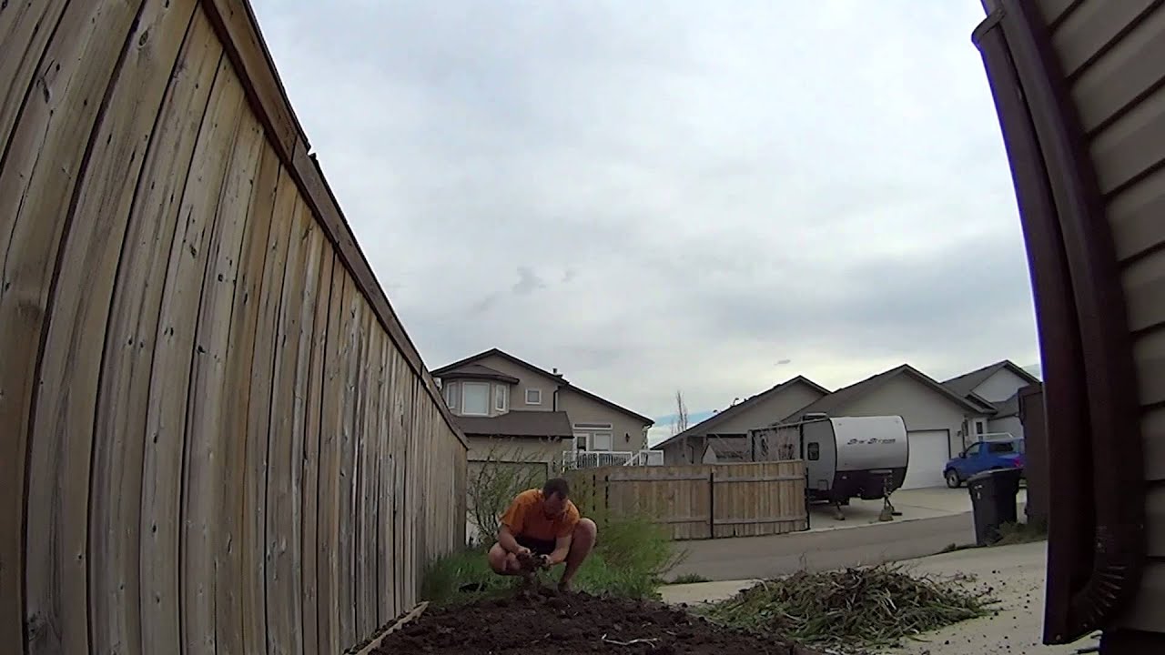 Two Hours Of Gardening In Ten Minutes