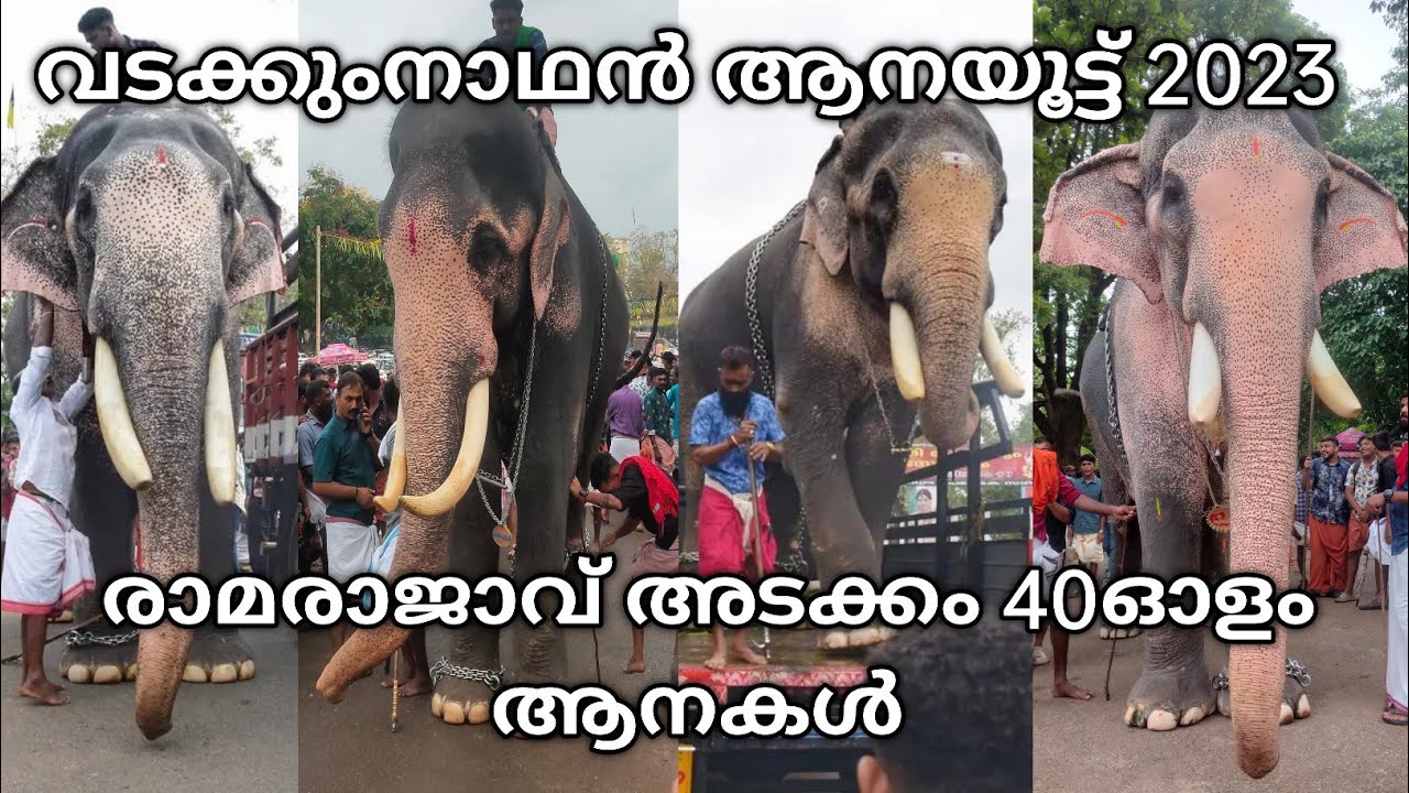 vadakkumnathan aanayoottu 2023 | വടക്കുംനാഥൻ ആനയൂട്ട് 2023