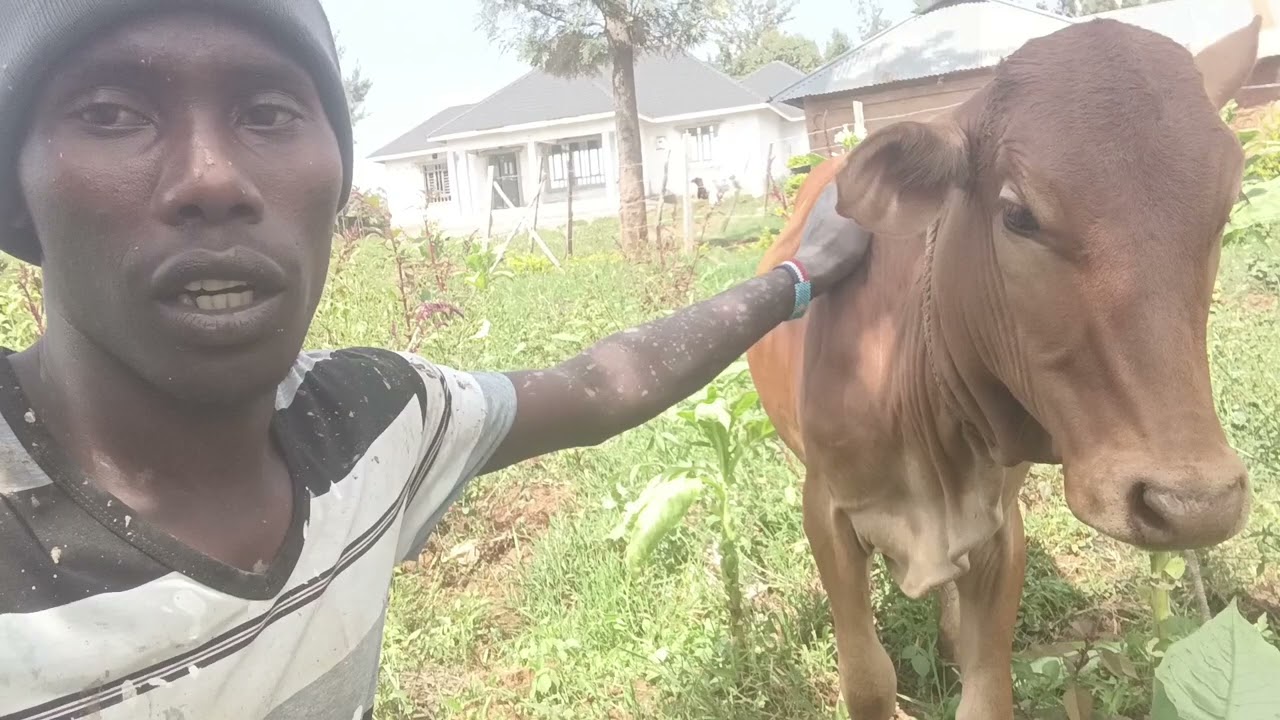 I HAVE STRUGGLED ALOT @its_passy 