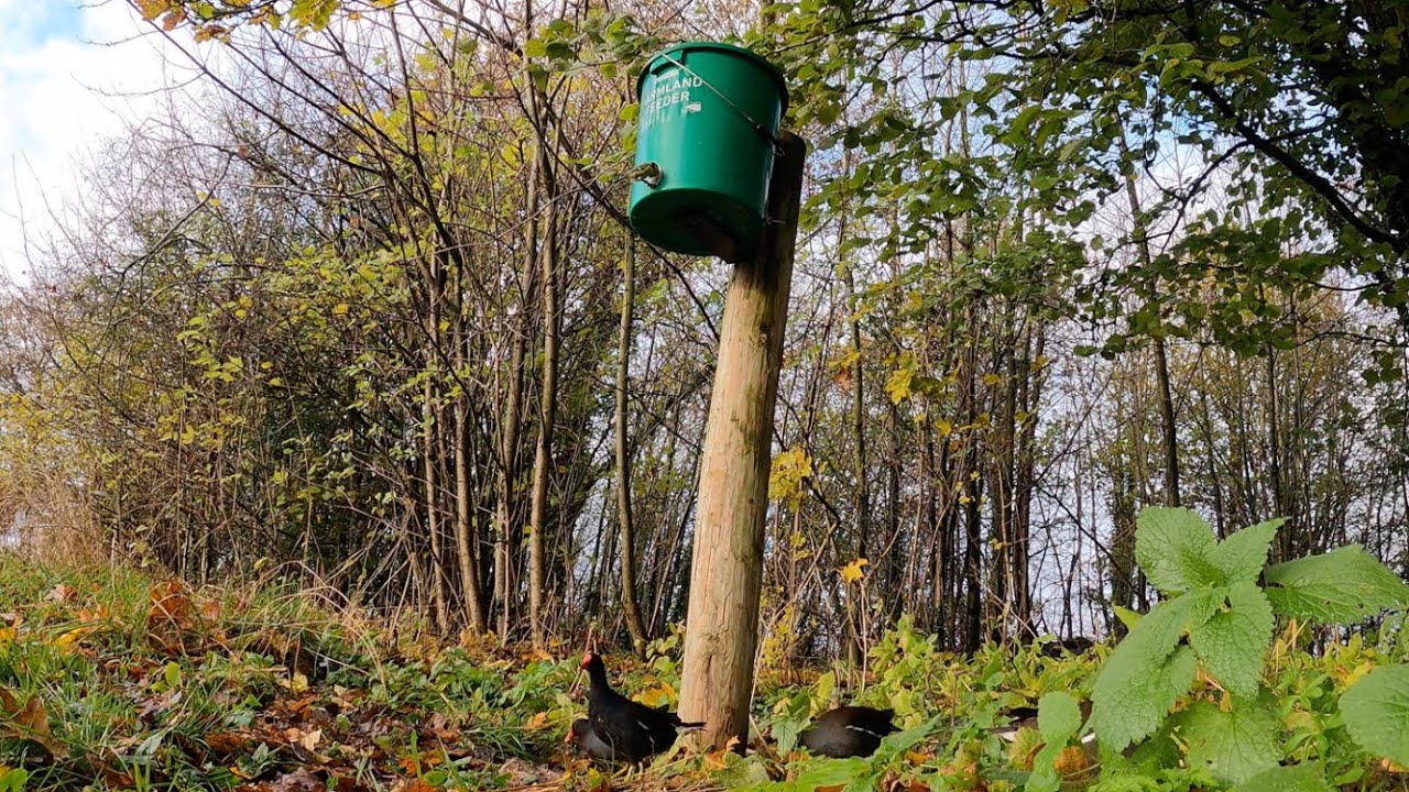Farmland Bird Feeders!
