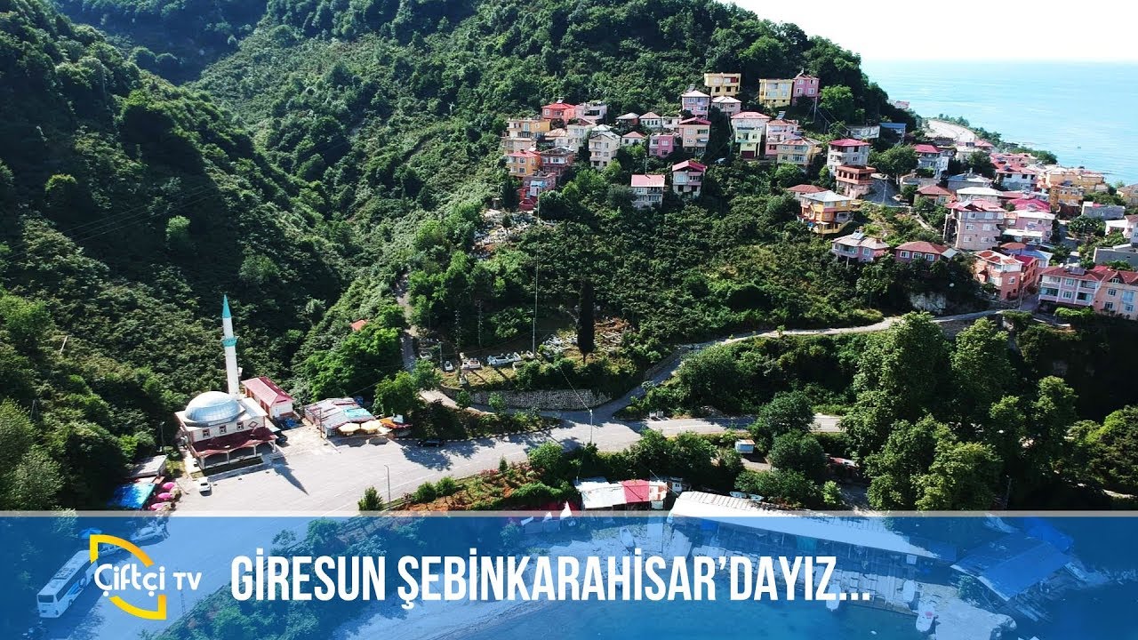 Antep Fıstığı Yetiştiriciliği / Giresun -BİZİM KÖY