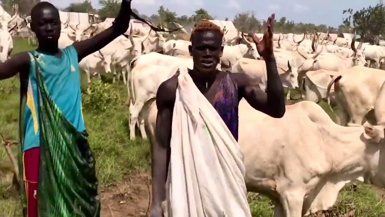 Dinka Bor: Cattle Camp 