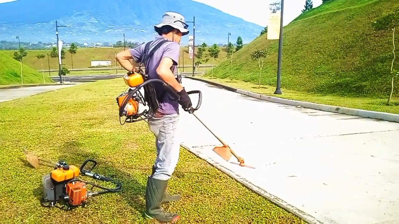 pemotongan dan perawatan rumput menggunakan mesin gendong#pemotonganrumput #mesinpemotongrumput