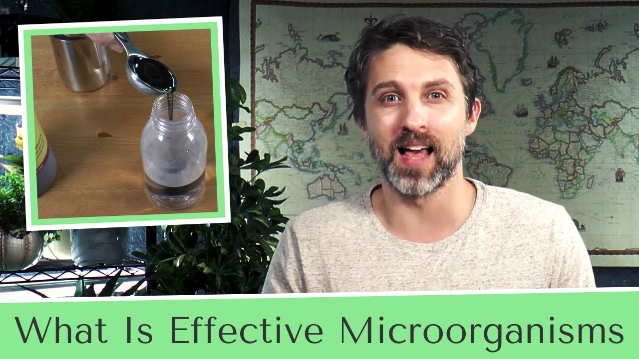 What Is Effective Microorganisms