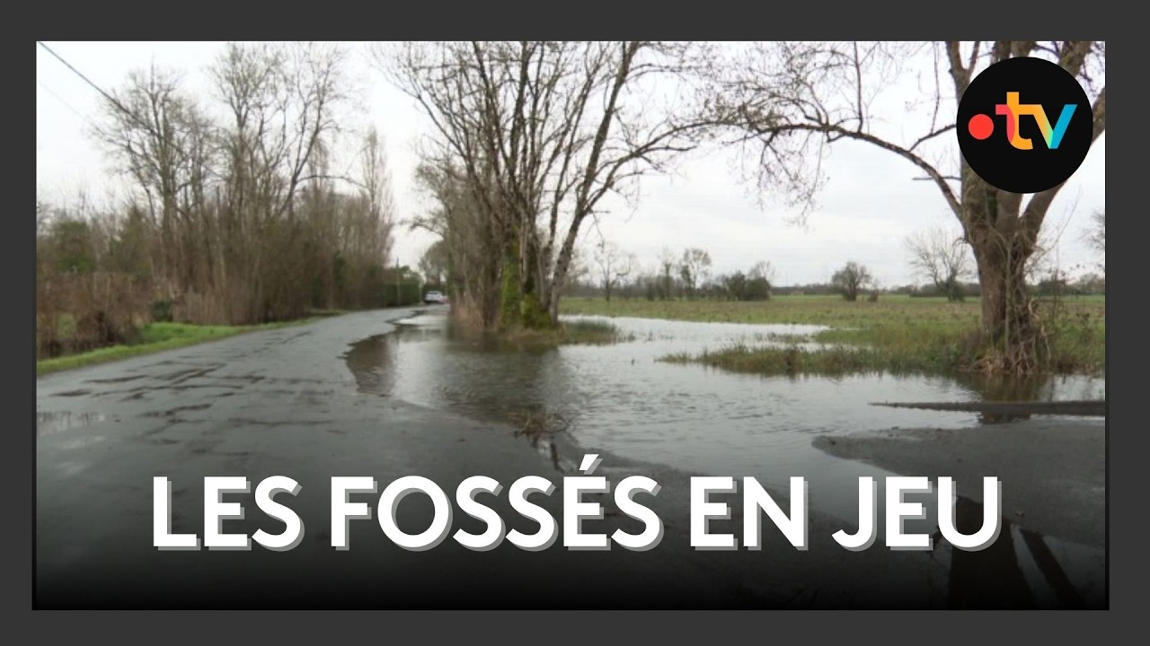 Curer les fossés pour faire face aux inondations