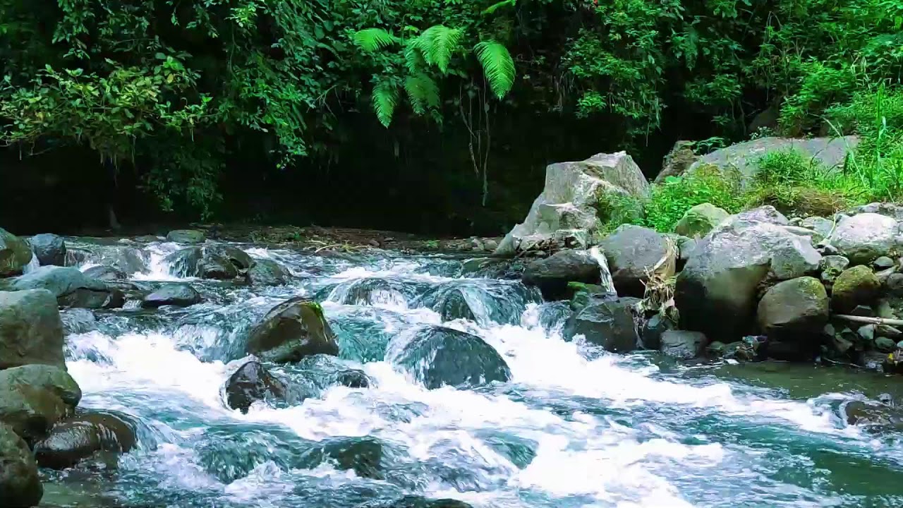 Peaceful River Flow  Natural Sleep Sounds for Anxiety Relief